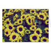 Sunflowers - Blank Card (Front Horizontal)