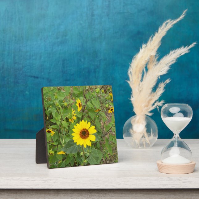 Sunflowers Blowing In The Wind, Plaque (Insitu)
