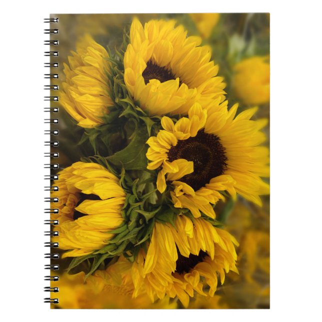 Sunflowers Blur Notebook (Front)