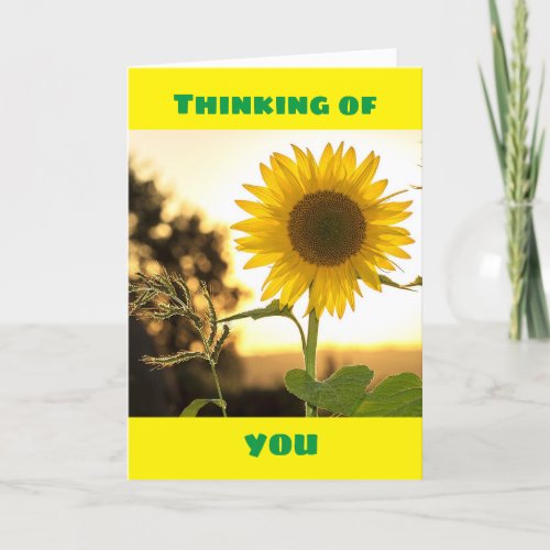 SUNFLOWERS BRIGHTEN YOUR DAY GET WELL SOON CARD