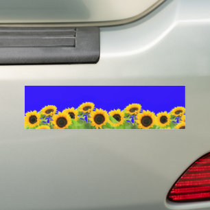 Sunflowers BumPer Stickers Ukrainian Flag Colors