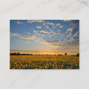 Sunflowers Business Card 2