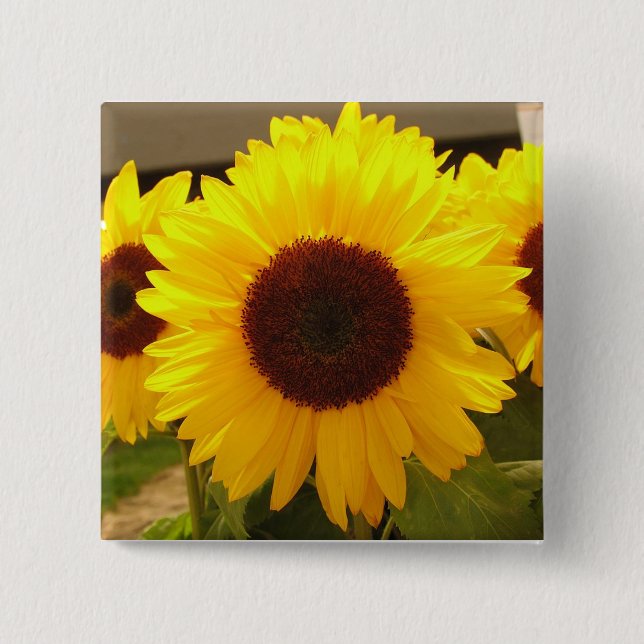 Sunflowers Button (Front)
