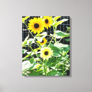 Sunflowers Canvas Print