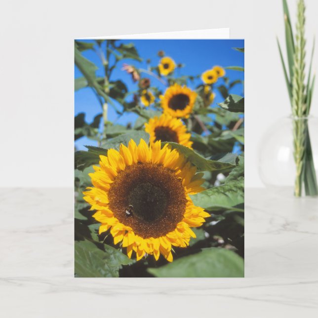 Sunflowers card (Front)