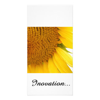 Sunflowers Card