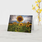 Sunflowers Card (Yellow Flower)
