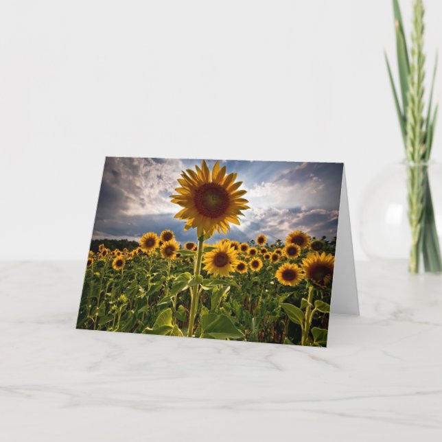 Sunflowers Card (Front)