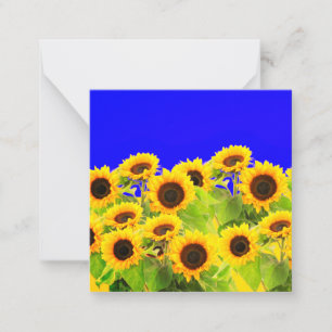 Sunflowers Card Ukraine Flag Colors Freedom Peace