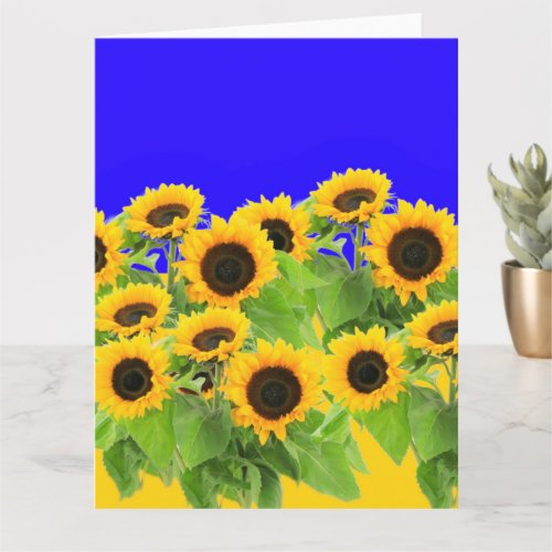 Sunflowers Card Ukraine Flag Colors Peace Freedom