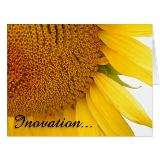 Sunflowers Cards (Front Horizontal)