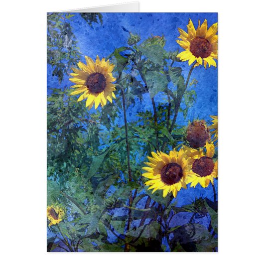 Sunflowers Cards (Front)
