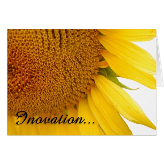 Sunflowers Cards (Front Horizontal)