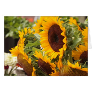 Sunflowers Cards