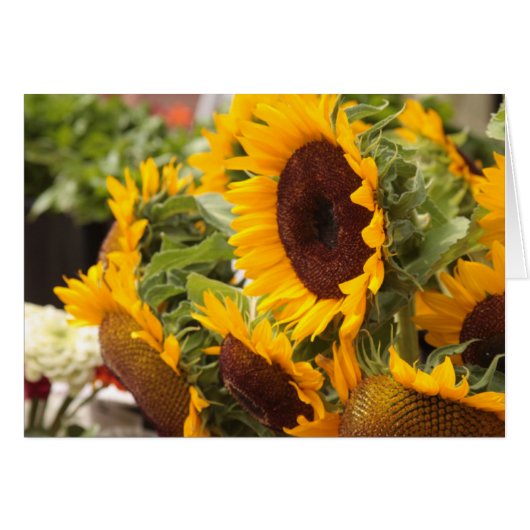 Sunflowers Cards (Front Horizontal)