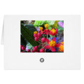 Sunflowers Cards (Back Horizontal)