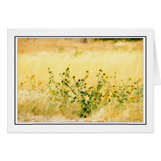 Sunflowers Cards (Front Horizontal)
