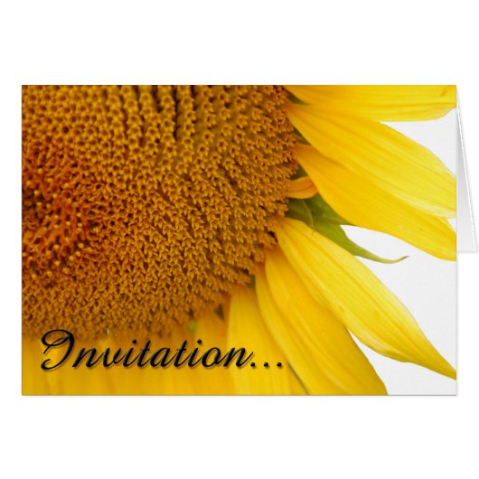 Sunflowers Cards (Front Horizontal)