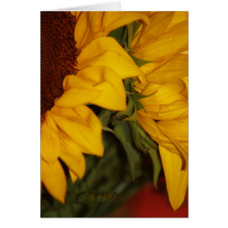 Sunflowers Cards