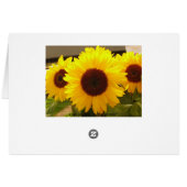 Sunflowers Cards (Back Horizontal)