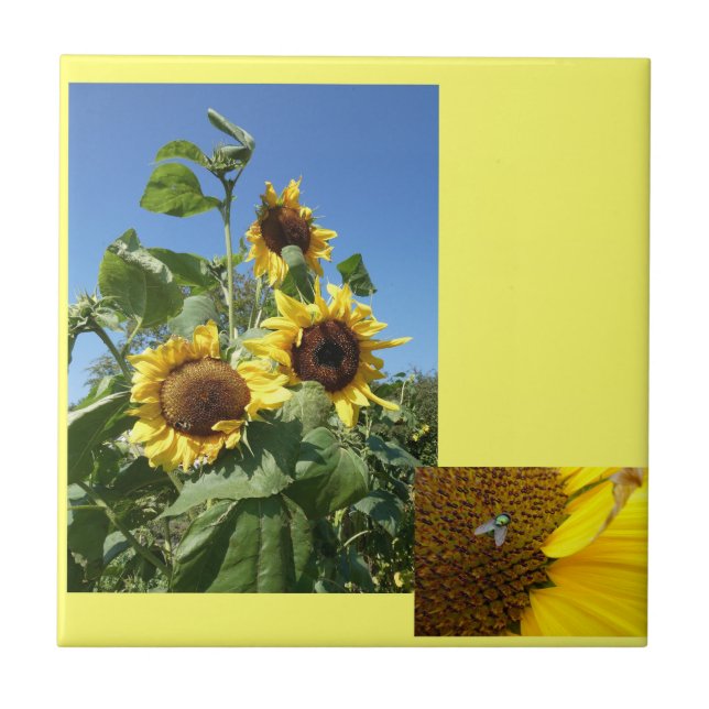 Sunflowers Ceramic Tile (Front)