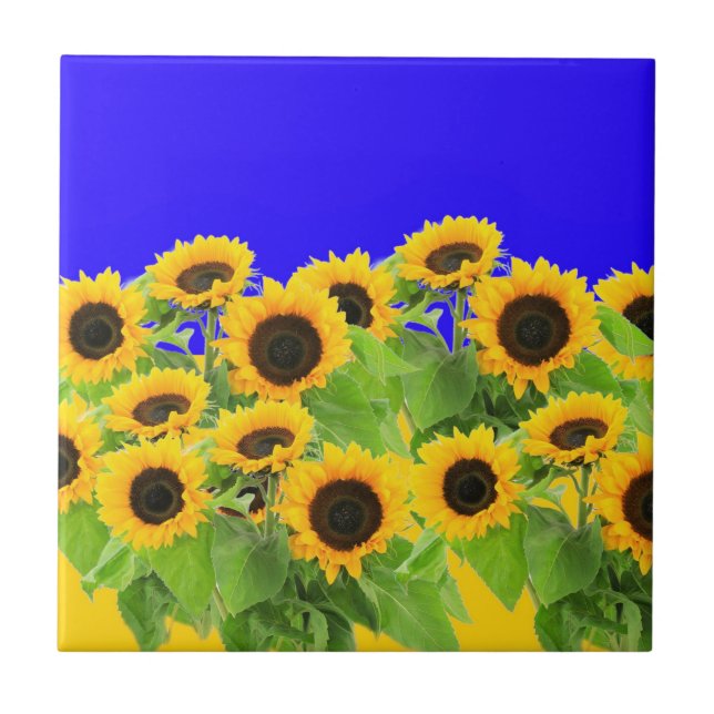Sunflowers Ceramic Tile Ukrainian Flag Colors (Front)