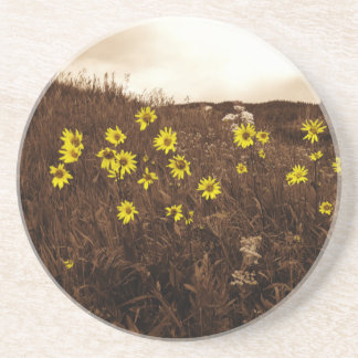 Sunflowers Coaster