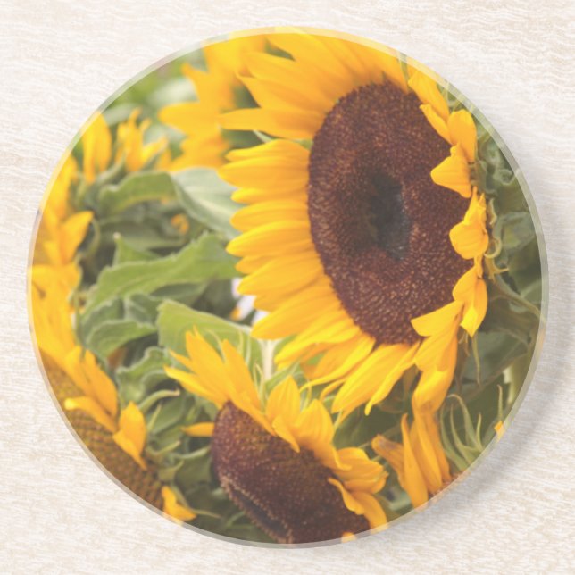 Sunflowers! Coaster (Front)