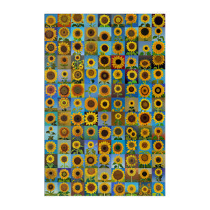 Sunflowers collage acrylic print