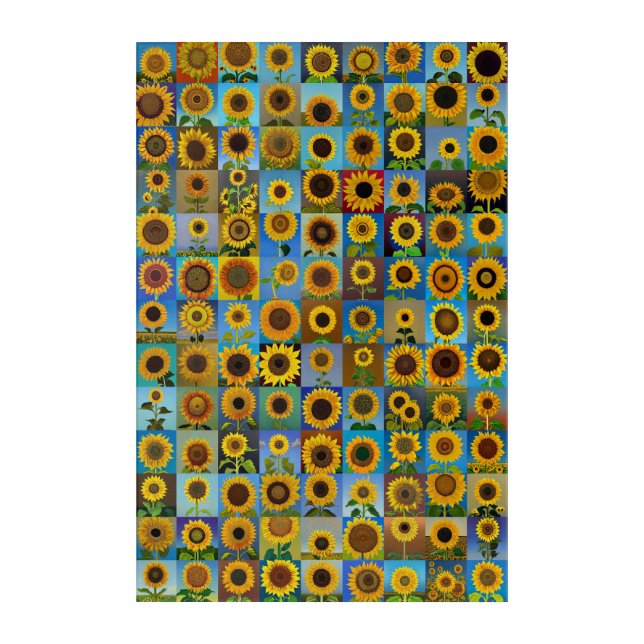 Sunflowers collage acrylic print (Front)