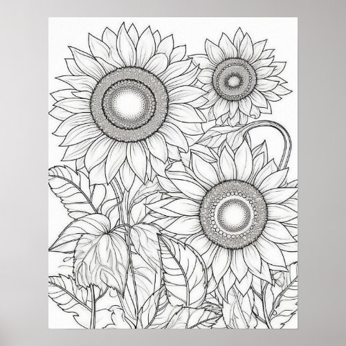 Sunflowers Coloring Poster for Adults