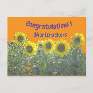 Sunflowers Congratulations Cust. Text Postcard