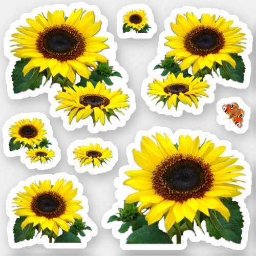 Sunflowers Contour Sticker