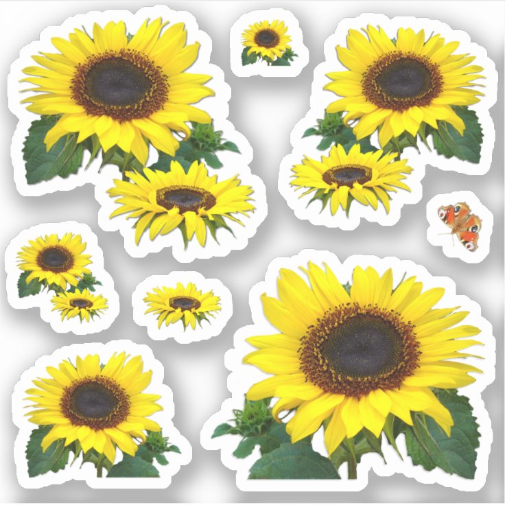 Sunflowers Contour Sticker Zazzle