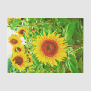 Sunflowers Country Yellow Green Floral Decoupage Tissue Paper