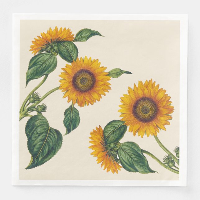Sunflowers Dinner Size Paper Napkins (Front)