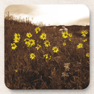 Sunflowers Drink Coaster