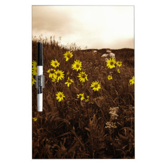 Sunflowers Dry-Erase Board