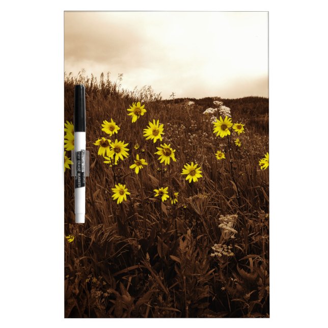 Sunflowers Dry-Erase Board (Front)