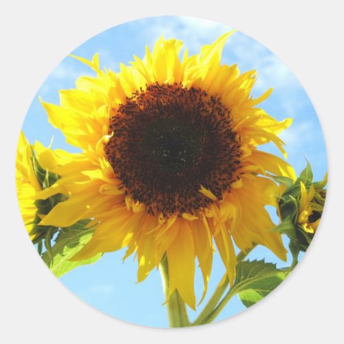 Sunflowers Envelope Seals or Stickers