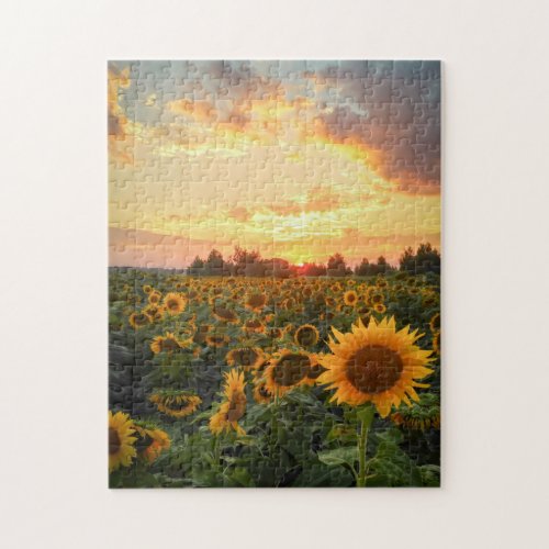 Sunflowers Field Jigsaw Puzzle