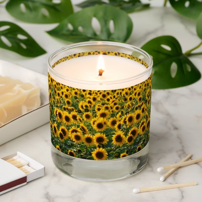 Sunflowers Field Scented Candle (Lit)