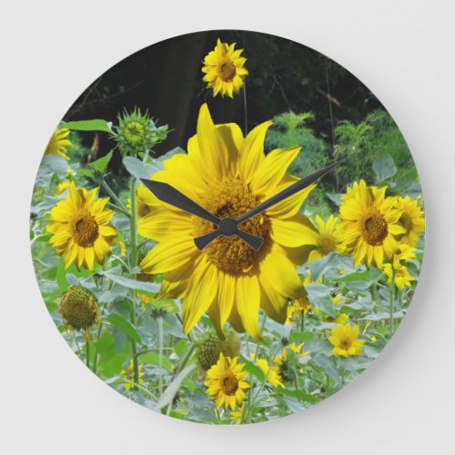 Sunflowers Field  Sunflower Wall Clock