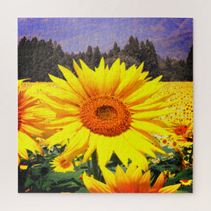 sunflower farm jigsaw puzzle