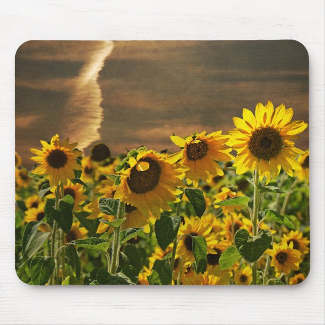 Sunflowers Galore Mouse Pad (Front)