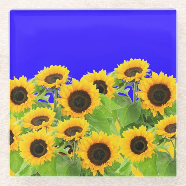 Sunflowers Glass Coaster Ukrainian Flag Colors (Front)