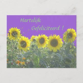Sunflowers Happy Birthday in Dutch Postcard