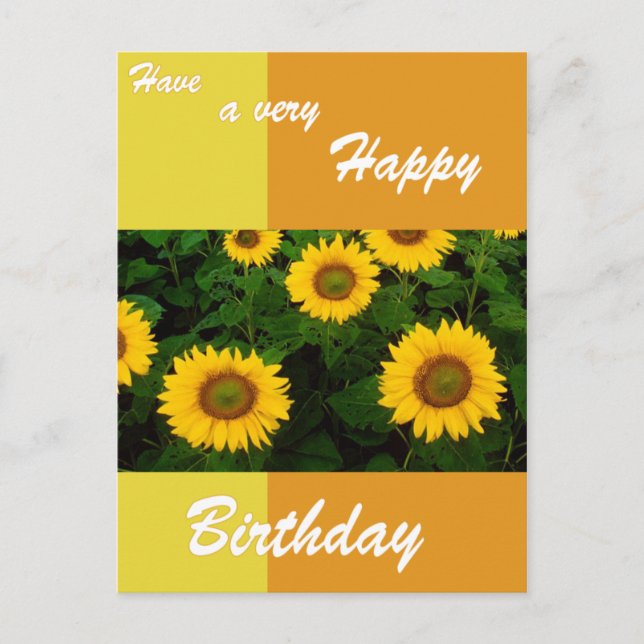Sunflowers - Happy Birthday Postcard (Front)