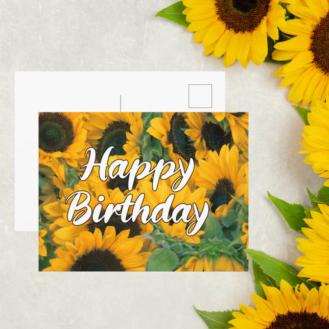 Sunflowers Happy Birthday Postcard | Zazzle