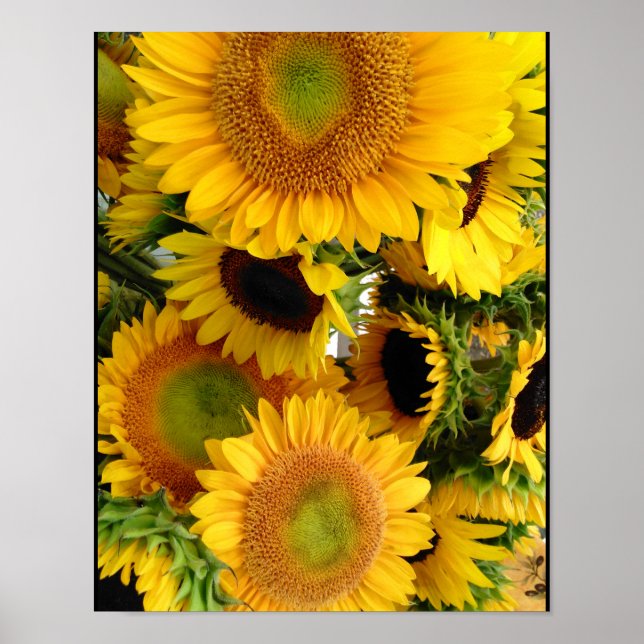 Sunflowers Happy Yellows Poster Wall Decor (Front)